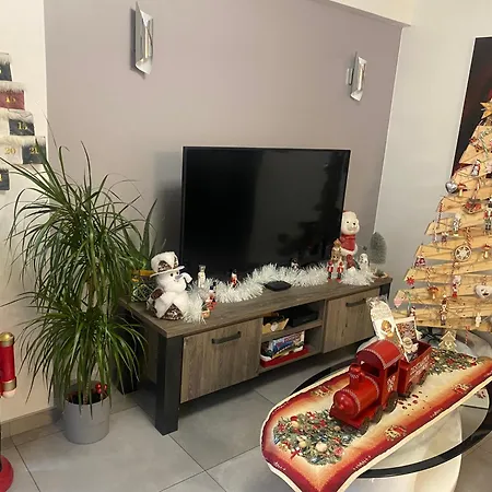 Mallo's Avec Parking Gratuit Et 2 Balcons Colmar