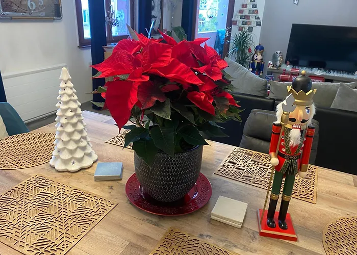 Mallo's Avec Parking Gratuit Et 2 Balcons Lejlighed Colmar